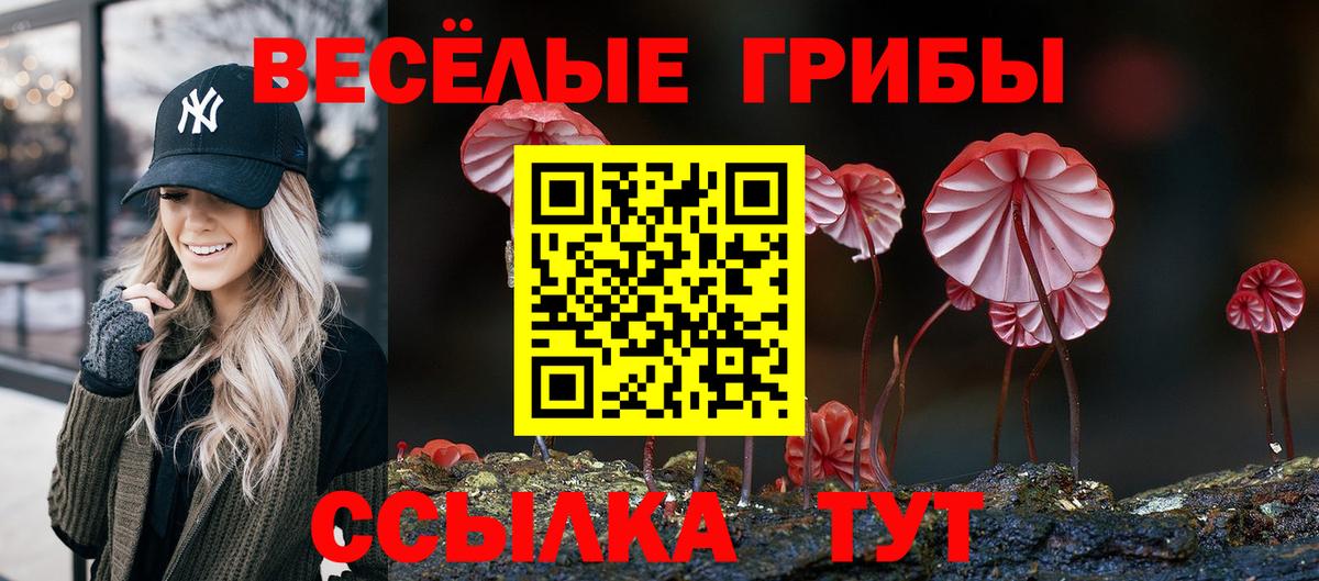 Маркс  Псилоцибиновые грибы прущие грибы  Вход с VPN 