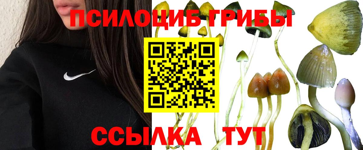 Псилоцибиновые грибы мухоморы Маркс